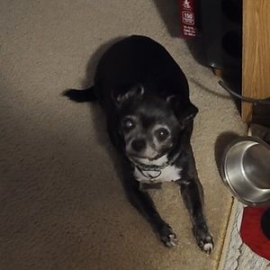 Meet your Posher, Kelli